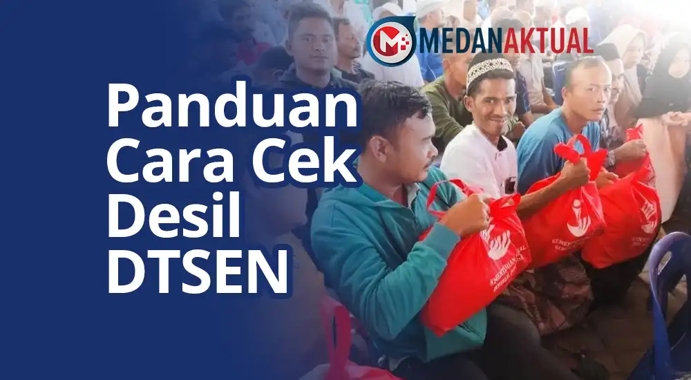 Panduan Cara Cek Desil DTSEN