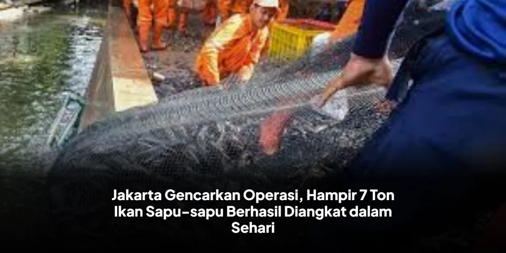 Jakarta Gencarkan Operasi, Hampir 7 Ton Ikan Sapu-sapu Berhasil Diangkat dalam Sehari