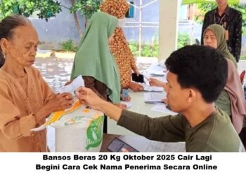 Bansos Beras 20 Kg Oktober 2025 Cair Lagi: Begini Cara Cek Nama Penerima Secara Online