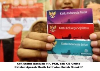 Cek Status Bantuan PIP, PKH, dan KIS Online: Ketahui Apakah Masih Aktif atau Sudah Nonaktif