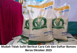 Mudah Tidak Sulit! Berikut Cara Cek dan Daftar Bansos Beras Oktober 2025