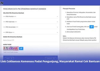 Antusias Cek Data Bansos Online Tinggi, Situs Kemensos Padat Pengunjung