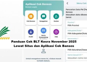 Panduan Cek BLT Kesra November 2025 Lewat Situs dan Aplikasi Cek Bansos