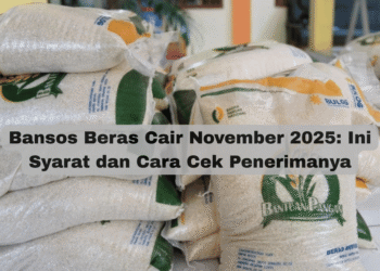 Bansos Beras Cair November 2025: Ini Syarat dan Cara Cek Penerimanya
