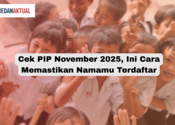 Cek PIP November 2025, Ini Cara Memastikan Namamu Terdaftar