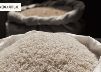 Info Cek Bansos Beras dan Minyak Goreng November 2025