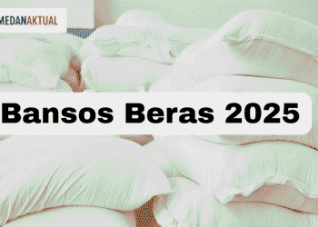 Link Cara Cek Bansos Beras November 2025