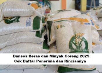 Bansos Beras dan Minyak Goreng 2025: Cek Daftar Penerima dan Rinciannya