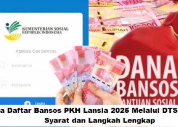 Cara Daftar Bansos PKH Lansia 2025 Melalui DTSEN: Syarat dan Langkah Lengkap