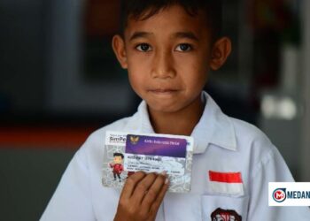 Informasi Penting PIP SD November 2025: Cek Status Pencairan Secara Online