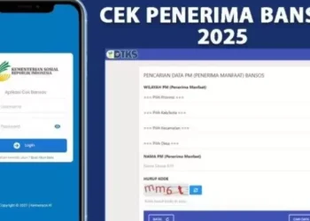 Cek Status BLT Kesra 2025 Rp900 Ribu Secara Online: KPM PKH dan BPNT Dapat Bantuan