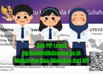 Cek PIP Lewat pip.kemendikdasmen.go.id: Mudah dan Bisa Dilakukan dari HP!