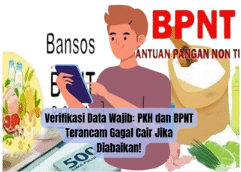 Verifikasi Data Wajib: PKH dan BPNT Terancam Gagal Cair Jika Diabaikan!