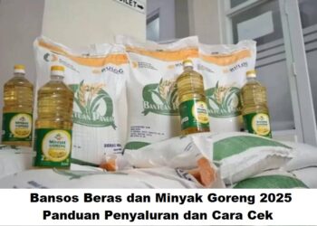 Bansos Beras dan Minyak Goreng 2025: Panduan Penyaluran dan Cara Cek