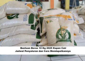 Bantuan Beras 10 Kg 2025 Kapan Cair: Jadwal Penyaluran dan Cara Mendapatkannya