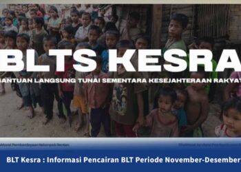 Cek NIK KTP untuk Penerima Bansos BLT, PKH, dan BPNT November 2025: Berikut Nominal dan Cara Mengeceknya