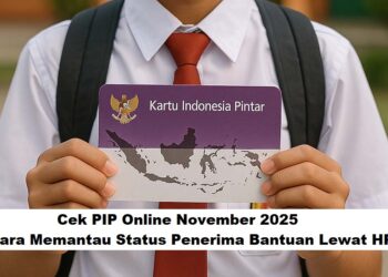 Cek PIP Online November 2025: Cara Memantau Status Penerima Bantuan Lewat HP