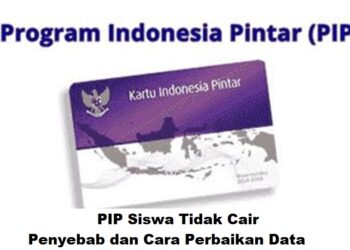 PIP Siswa Tidak Cair: Penyebab dan Cara Perbaikan Data