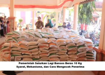 Pemerintah Salurkan Lagi Bansos Beras 10 Kg: Syarat, Mekanisme, dan Cara Mengecek Penerima
