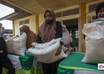 Bansos Beras 20 Kg dan Minyak Goreng 4 Liter Cair November 2025, Cek Lewat HP Tanpa Aplikasi