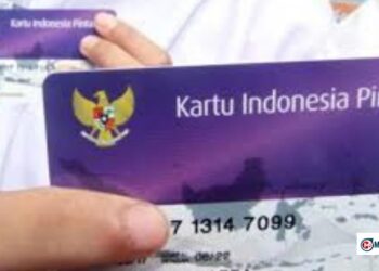 Pendaftaran PIP 2025 via HP—Apakah Bisa? Ini Ulasannya