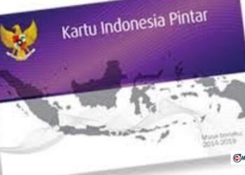 Update PIP November 2025: Ini Perkiraan Cair Setelah Aktivasi Rekening Selesai