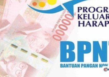 Kapan Dana BPNT Masuk? Begini Cara Cek Lewat NIK