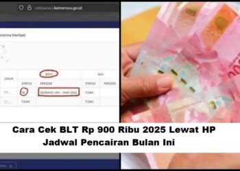 Cara Cek BLT Rp 900 Ribu 2025 Lewat HP dan Jadwal Pencairan Bulan Ini