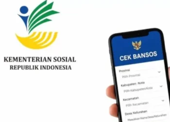 Cek Penerima PKH 2025: Cara Verifikasi Status Online