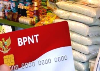 Mau Tahu Cara Cek Penerima BPNT? Simak Panduannya!
