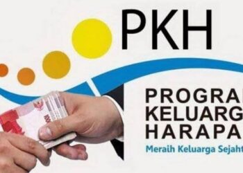 Mudah dan Cepat, Begini Cara Cek Bansos PKH 2025 via HP
