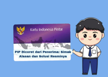 PIP Dicoret dari Penerima: Simak Alasan dan Solusi Resminya