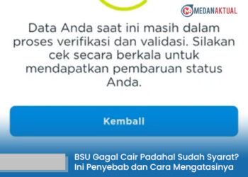BSU Gagal Cair Padahal Sudah Syarat? Ini Penyebab dan Cara Mengatasinya