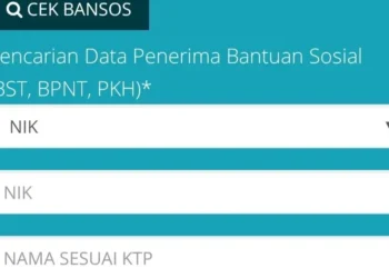 Cek Bansos Pakai NIK KTP: Cara Resmi Mengetahui Status Bantuan Sosial Tanpa Ribet