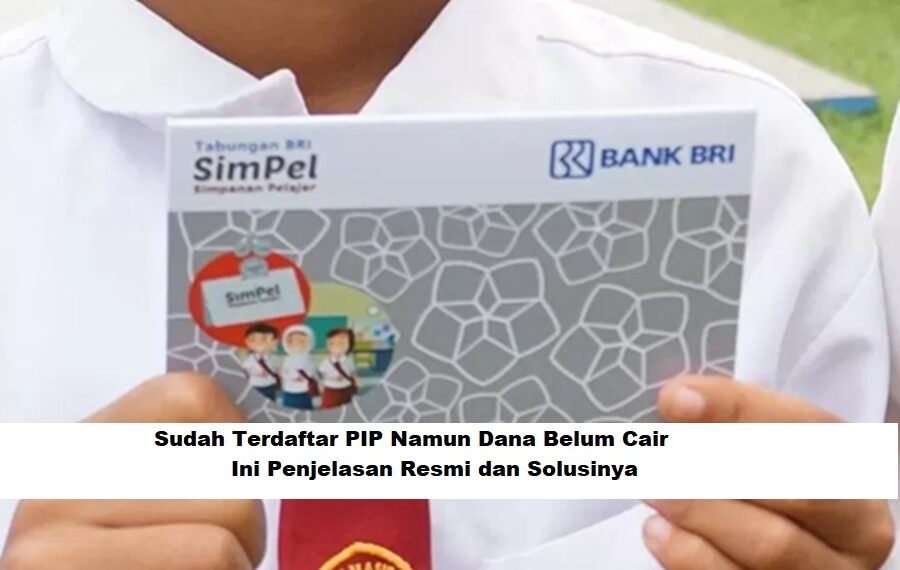 Sudah Terdaftar PIP Namun Dana Belum Cair: Ini Penjelasan Resmi dan Solusinya