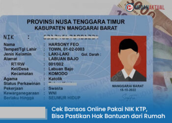 Cek Bansos Online Pakai NIK KTP, Kini Bisa Pastikan Hak Bantuan dari Rumah