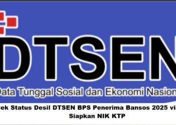 Link Cek Status Desil DTSEN BPS Penerima Bansos 2025 via HP: Siapkan NIK KTP