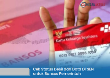 Cek Status Desil dan Data DTSEN untuk Bansos Pemerintah, Kini Bisa Dicek Mandiri Tanpa Harus ke Kelurahan