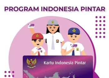 PIP 2025 Termin 3: Cara Cek Status Pencairan via Aplikasi SIPINTAR