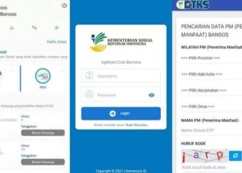 Informasi DTSEN: Cara Mengecek Desil Secara Online dengan NIK KTP