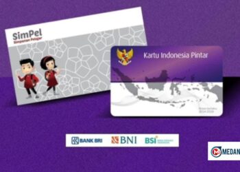 Cek Status PIP 2025 Hanya di Website Resmi Ini