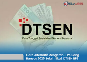 Situs DTSEN BPS Sedang Perbaikan? Ini Cara Alternatif Mengetahui Peluang Bansos 2025