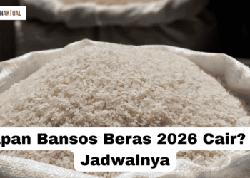 Kapan Bansos Beras 2026 Cair? Ini Jadwalnya
