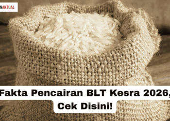 Fakta Pencairan BLT Kesra 2026, Cek Disini!