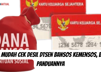 Cara Mudah Cek Desil DTSEN Bansos Kemensos, Begini Panduannya