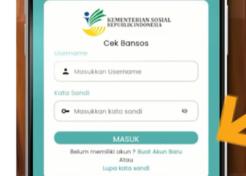 KPM Wajib Tahu! Begini Cara Cek Bansos Lewat Aplikasi Resmi Kemensos