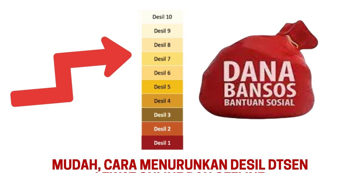 Mudah, Cara Menurunkan Desil DTSEN Lewat Online dan Offline