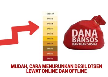 Mudah, Cara Menurunkan Desil DTSEN Lewat Online dan Offline