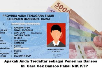 Apakah Anda Terdaftar sebagai Penerima Bansos? Ini Cara Cek Bansos Pakai NIK KTP