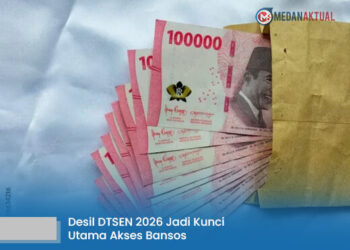 Pengecekan DTSEN dan KTP: Solusi Menghindari Kendala Bansos